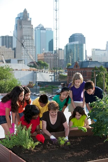 Become a Provider Page image of youth urban gardening